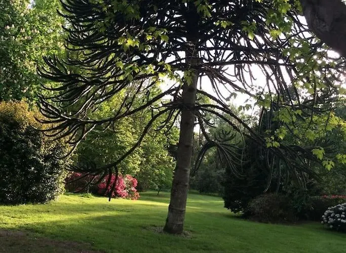 , Ring Of Kerry 2 Bed 2 Bathrooms דירה *